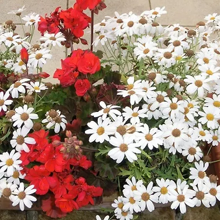 萨登兰德宫酒店 3* 泰克伦堡