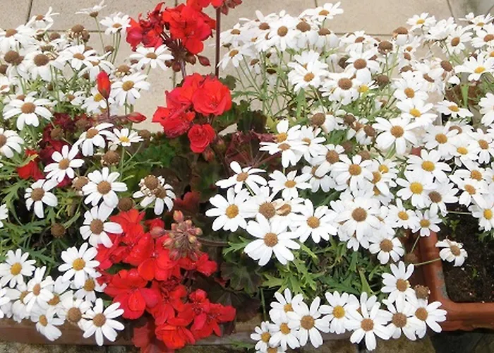 Sundern 3* Tecklenburg